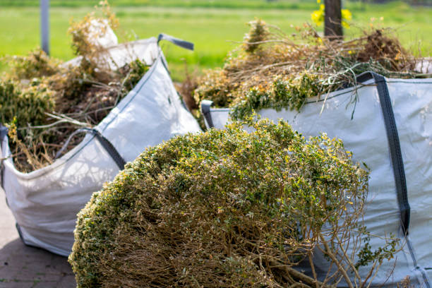 Best Garage Cleanout  in Palmer Lake, CO